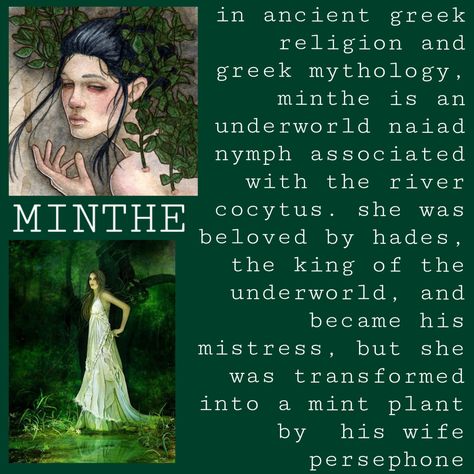 Greek Mythology Minthe, Greek Witchcraft, Mythology Humor, Celtic Folklore, Ancient Aesthetic, Celtic Paganism, Codes Wallpaper, Hades Persephone, Mint Plant