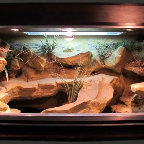 Desert Reptile Enclosure, Excavator Clay Terrarium, Uromastyx Enclosure, Reptile Terrarium Ideas, Leopard Gecko Terrarium Ideas, Bearded Dragon Setup, Gecko Enclosure, Desert Terrarium, Reptile Pets