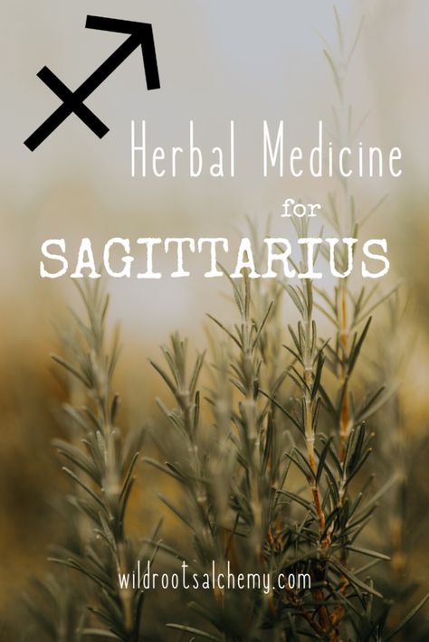 Herbs Of Sagittarius, Herbs For Sagittarius, Apothecary Supplies, Happy Solar Return, Astrology Houses, Healthy Healing, Solar Return, Earth Magic, Sagittarius Season