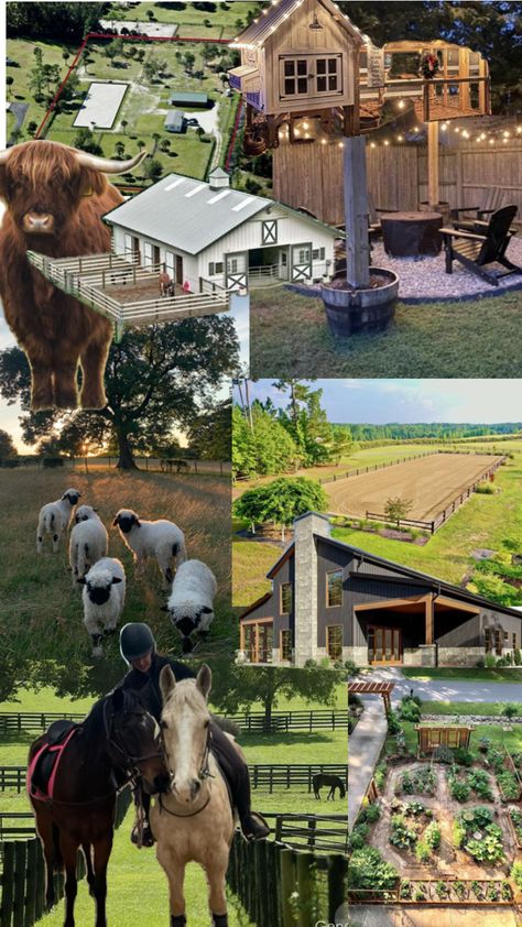 Farm Chores, Cow Shed, Cow Farm, Farm Life, Shed, Cow, Quick Saves