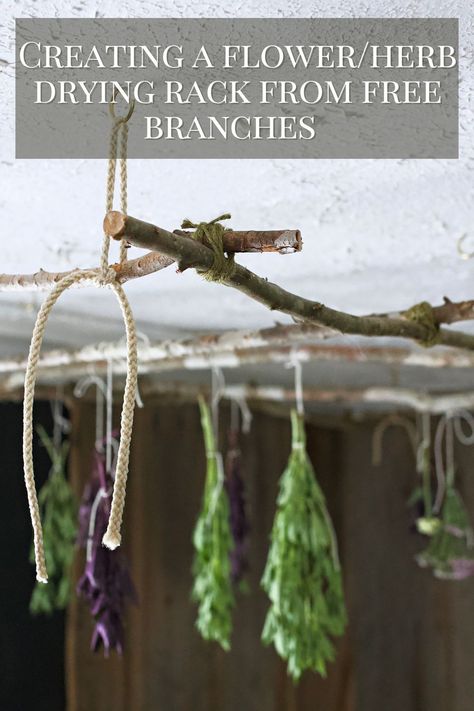 Create a hanging herbal and floral drying rack! This easy DIY project maximizes the drying space of any room while making the most of the vertical space. With just a few simple materials, you can create your very own hanging drying rack perfect for preserving all those vibrant herbs and flowers. Diy Herb Hanging Rack, Hang Drying Flowers, Hang Drying Herbs, Diy Herb Dryer, Herbs Hanging In Kitchen, Diy Herb Drying Rack Ideas, Hanging Herbs To Dry, Diy Flower Drying Rack, Herb Drying Rack Diy