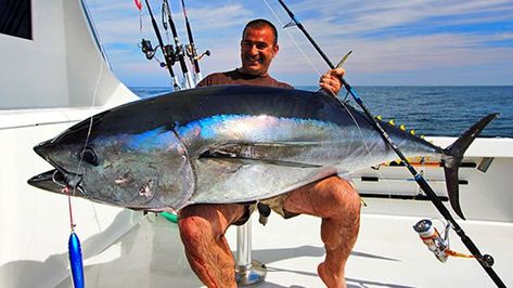 Deep Sea Fishing Features and Charts | FISHTRACK.COM Tuna Fishing, Bluefin Tuna, Giant Fish, Fishing Photos, Monster Fishing, Salt Water Fishing, Salt Water Fish, Offshore Fishing, Fishing Pictures