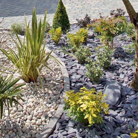 Atlantic Pebbles and Cobbles with Plum Slate Chippings and Rockery - Latest Member Projects - Landscape Juice Network Plum Slate, Garden Ideas Uk, Rockery Garden, Slate Garden, Small Front Gardens, Pebble Garden, Seaside Garden, Front Gardens, Front Garden Design