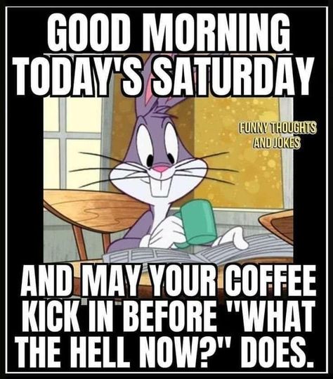 Saturday Quotes Funny, Saturday Morning Humor, Saturday Morning Quotes, Saturday Humor, Saturday Quotes, Funny Day Quotes, Morning Memes, Monday Humor, Funny Good Morning Quotes