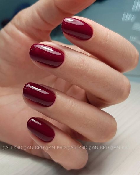 Deep Red Nails Short, Red Dip Powder Nails, Red Nails Short, Deep Red Nails, Quiet Girl, Nail Colour, Girls Nails, Dip Powder Nails, Nails Short