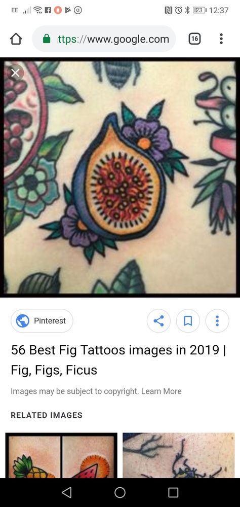 American Traditional Fig Tattoo, Ceres Tattoo, Fig Leaf Tattoo, Leave Tattoo, Fig Images, Fig Tattoo, Pomegranate Tattoo, Food Tattoos, Sticker Tattoo