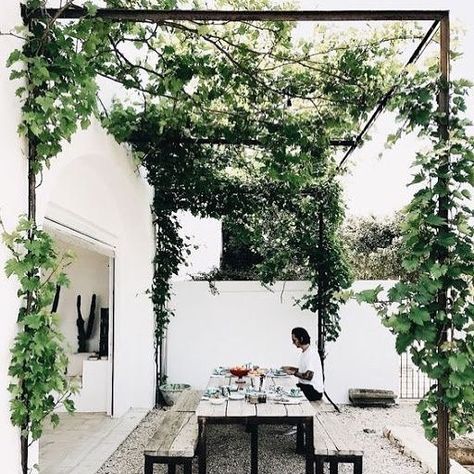 Genevieve Gorder on Instagram: “Terrace plans... Lightweight and simple, Never out of style, Cover me in vines. . . . #deck #pergola #designlife” Ivy Pergola, Vine Canopy, Garden Roof, Deck Pergola, Pergola Roof, Genevieve Gorder, Roof Ceiling, Pergola Lighting, Pergola Canopy