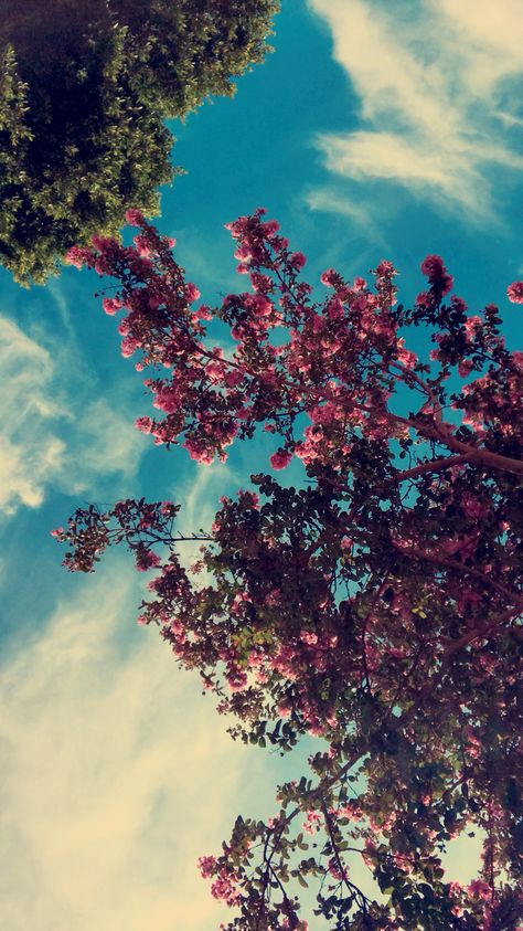 Iphone Wallpaper Landscape, Cool Pictures For Wallpaper, Instagram Photo Frame, Flower Iphone Wallpaper, Wallpaper Nature Flowers, Iphone Wallpaper Photos, Simple Background Images, Aesthetic Photography Nature, Sky Art