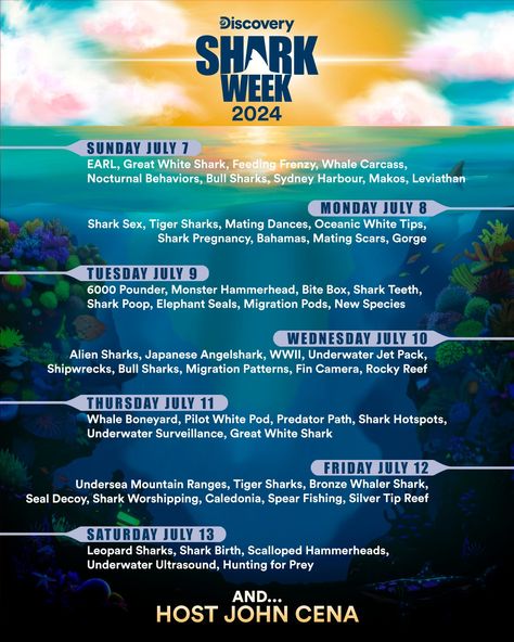 Shark Week 2024 | Schedule | Discovery Week Schedule, Elephant Seal, Bull Shark, Tiger Shark, Shark Party, Shark Week, Great White Shark, July 7, Shark Teeth