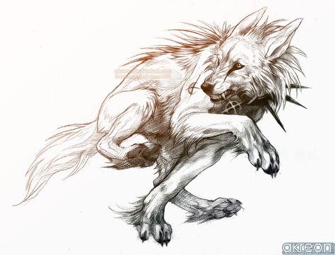 Wolf Sketch, Werewolf Art, Wolf Drawing, Canine Art, Japon Illustration, Anime Wolf, Fantasy Creatures Art, Fox Art, Wow Art