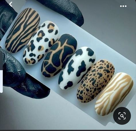 Animals Print Nails, Animal Print On Nails, Animal Prints Nail Art, Animal Print Nail Art Designs, Safari Theme Nails, Animal Nail Art Designs, Animal Nails Designs, Animal Print Uñas, Nail Art Leopard