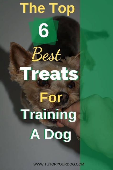 The Top 6 Best Treats For Training A Dog - Tutor Your Dog Best Training Treats For Puppies, Best Puppy Training Treats, Puppy Training Treats, Training A Dog, Best Treats, Best Treats For Dogs, Training Dogs, Puppy Biting, Basic Dog Training