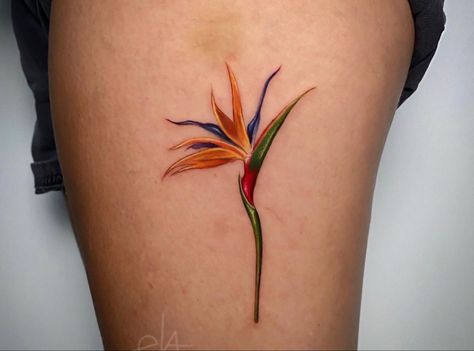 Small Bird Of Paradise Tattoo, Bird Of Paradise Flower Tattoo, Paradise Flower Tattoo, Bird Of Paradise Tattoo, Butterfly With Flowers Tattoo, Strelitzia Reginae, Bird Of Paradise Flower, Paradise Tattoo, Birds Of Paradise Flower