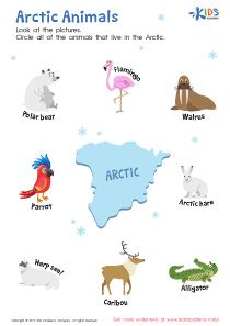 Artic Worksheets For Kids, Arctic Animals Preschool Activities Free Printables, Arctic Animals Kindergarten, Antarctic Animals Free Printables, Science Prek, Arctic Vs Antarctic For Kids, Arctic Animal Books Preschool, Polar Activities, Arctic Animals Activities