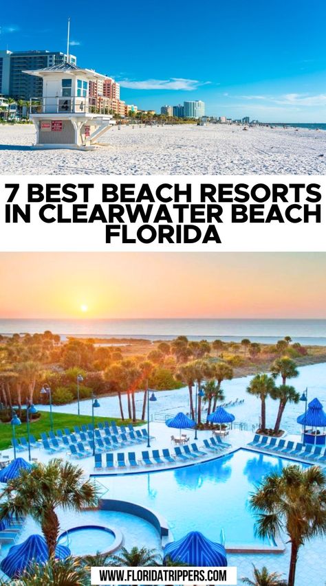 7 Best Beach Resorts In Clearwater Beach, Florida. Hammock Beach Resort Florida, Things To Do In Clearwater Beach, Clearwater Beach Florida Hotels, Clear Water Beach Florida, Clear Water Beach, Florida Beach Resorts, Boynton Beach Florida, Florida Beaches Vacation, Clearwater Beach Florida