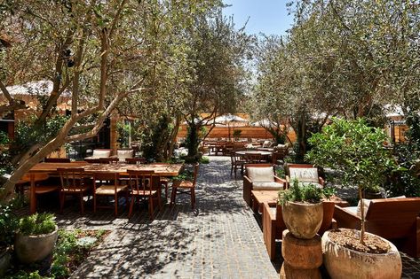 A lush garden area with brick pavers and outdoor seating. Olive trees shade the seating. Courtyard Cafe, Homeless Housing, Industrial District, Rooftop Patio, Exposed Brick Walls, Rooftop Pool, Soho House, Arts District, Exposed Wood