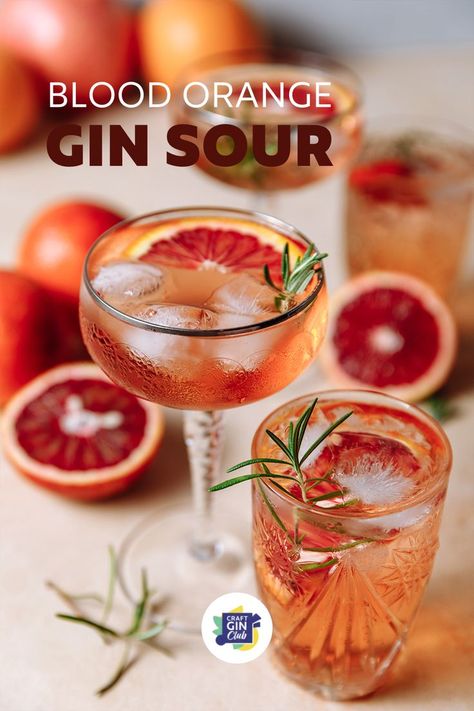 Gin Sour Recipe, Cocktail With Gin, Blood Orange Recipes, Easy Cocktail Recipe, Blood Orange Cocktail, Flavoured Gin, Gin Sour, Orange Cocktail, Orange Bitters