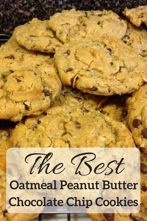 Oatmeal Peanut Butter Chocolate Chip Cookies, Oatmeal Peanut Butter Chocolate Chip, Peanut Butter Chocolate Chip Cookies Recipe, Health Cookies, Chocolatechip Cookies, Peanut Butter Oatmeal Chocolate Chip, Peanut Butter Oatmeal Chocolate Chip Cookies, Cookie Brownies, The Best Oatmeal