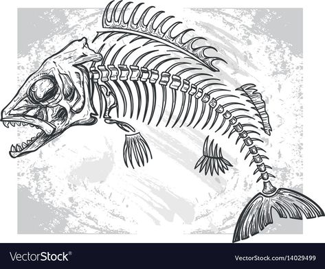 Fossil Sketch, Fish Bone Tattoo, Fish Skeleton, Drawn Fish, Skeleton Drawings, Pisces Tattoos, Bone Tattoos, Skeleton Tattoos, Fish Fossil