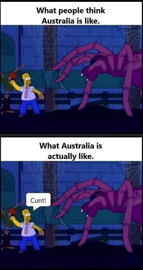 Funny Aussie, Australia Funny, Jokes Pics, Funniest Memes, Some Funny Jokes, Really Funny Pictures, Really Funny Memes, The Simpsons, Super Funny