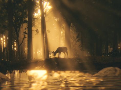 Arthur Morgan High Honor, Rdr2 Laptop Wallpaper, Rdr2 Widgets, Rdr 2 Aesthetic, Rdr2 Wallpaper Desktop, Red Dead Aesthetic, Rdr2 Background, Rdr Icons, Rdr2 Banner