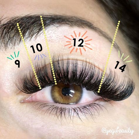 Eyelash Training & Supplies on Instagram: “🌞 Hey Lash artist! Want to create this wet lash look? Yegi has some tips for a look like this! 😸 💦 To get this wet lash cat-eye look: Use…” Volume Wet Look Lashes, Lash Map Wet Look, Wet Look Lash Extensions Map, 14mm Lash Extensions, Cat Eye Mapping Eyelash Extensions, Volume Cat Eye Lash Extensions Mapping, Lash Extensions Wet Set, Lash Extension Mapping Styles, Lash Mapping Eyelash Extensions Volume