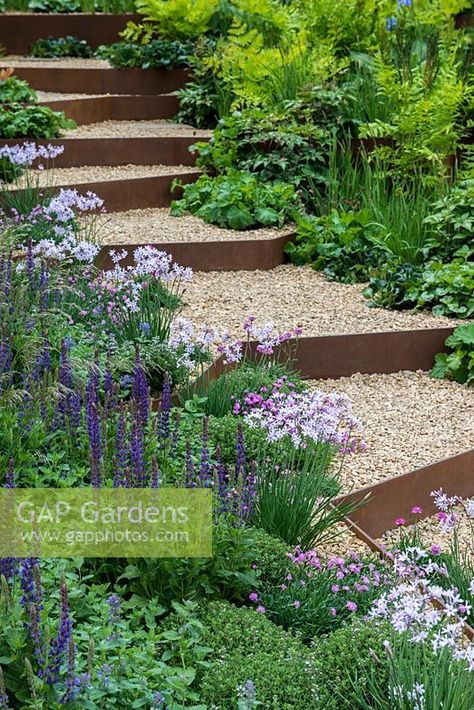 Gravel steps with rusted corten steel risers edged with Salvia Mainacht, Thymus vulgaris, Armeria maritima, Nepeta x fraassenii and Tulbaghia violacea. Ideas Backyard Patio, Gravel Driveways, Aesthetic Backyard, Backyard Aesthetic, Sloped Backyard Landscaping, Decorative Aggregates, Landscape Stairs, Landscaping Backyard, Sloped Backyard