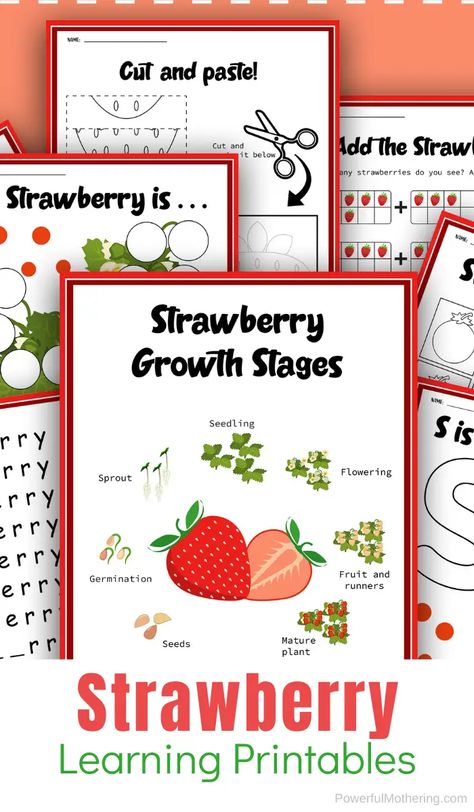 Strawberry Learning Activities, Strawberry Activities For Kids, Strawberry Activities, Strawberry Project, Story Baskets, Words To Spell, Letter Writing Practice, Spelling For Kids, Strawberry Theme