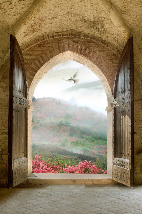 Premade BK Stock 131 by FairieGoodMother on deviantART Castle Doors, My Rules, Looking Out The Window, Beautiful Windows, Simple Rules, Window View, Through The Window, Beautiful Doors, Art Background