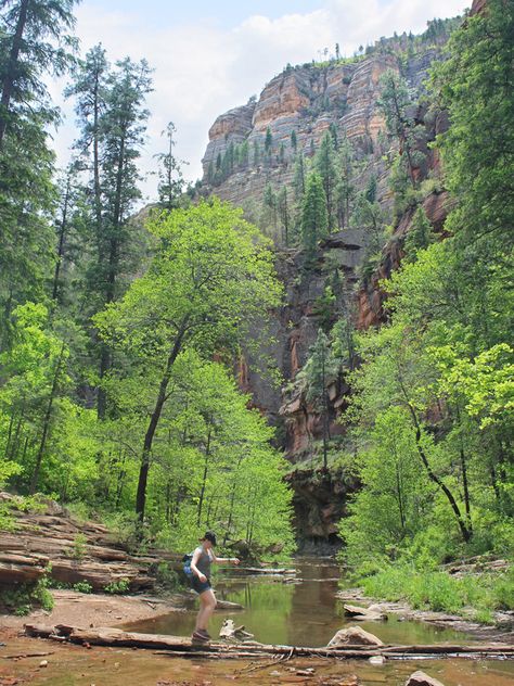 West Fork Trail Sedona, Forest Trip, Arizona Trip, Southwest Travel, California Roadtrip, Trip To Grand Canyon, Arizona Hiking, Sedona Az, Arizona Travel