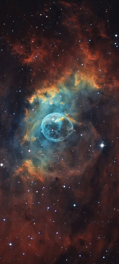 Bubble Nebula, Galaxy Images, Carl Sagan, The Bubble, Inspiring Spaces, Deep Space, Flowers Nature, Nature Animals, Out Of This World