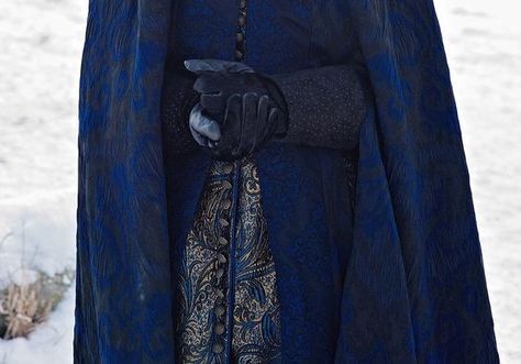 Daena Targaryen, Ravenclaw Aesthetic, Grey Warden, Korat, Dragon Age Origins, The Grisha Trilogy, Foto Ideas Instagram, High Fantasy, Dragon Age