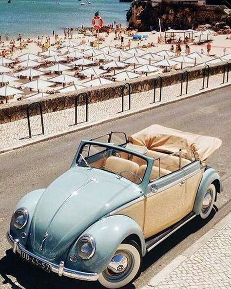 Scooters Vespa, Volkswagen Beetle Convertible, Bug Car, Old Vintage Cars, Beetle Car, Beetle Convertible, Carros Vintage, Vw Vintage, Vintage Volkswagen