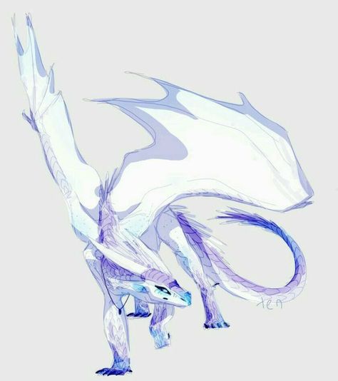 #wattpad #fanfiction A fan fiction of bakugou x y/n A lot of soft bakugou, and in this fan fiction includes : 🌺fluff🌺 🥀angst🥀 🍀romance🍀 White Wyvern Art, Eastern Dragon Oc, Ice Dragon Drawing, Small Dragon Art, White Dragon Drawing, Dragon Reference Drawing, Ice Wyvern, Ice Dragon Art, Ice And Fire Dragon