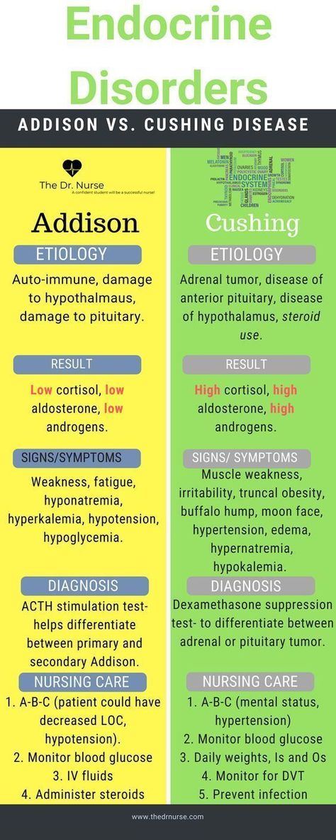 Nurse Practitioner School, Vet Medicine, Nursing Mnemonics, Endocrine Disorders, Nursing School Survival, Nursing School Studying, Med Surg, Nursing School Tips, Nursing School Notes