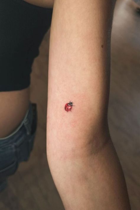 "These dainty small tattoo ideas are the perfect blend of elegance and minimalism, making them the ultimate choice for lovers of subtle ink." Dainty Small Tattoos, Small Dainty Tattoos, Small Fairy Tattoos, Airplane Tattoos, Lady Bug Tattoo, Understanding Women, Bug Tattoo, Bow Tattoo, Small Tattoo Ideas