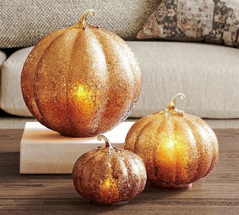 Pottery Barn Textured Glass Amber Pumpkin Cloche Holiday Decor Halloween, Faux Pumpkins, Glass Pumpkins, Halloween Lights, Glass Votive, Halloween Fall, Halloween Home Decor, Pottery Barn Teen, Halloween Outdoor Decorations