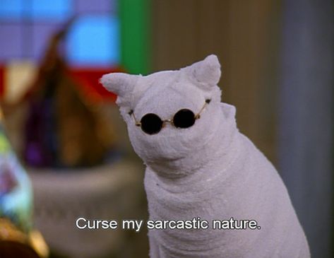 Salem Saberhagen, Salem Cat, Crazy Funny, Memes Humor, Intj, Empath, Spirit Animal, Movie Quotes, Reaction Pictures