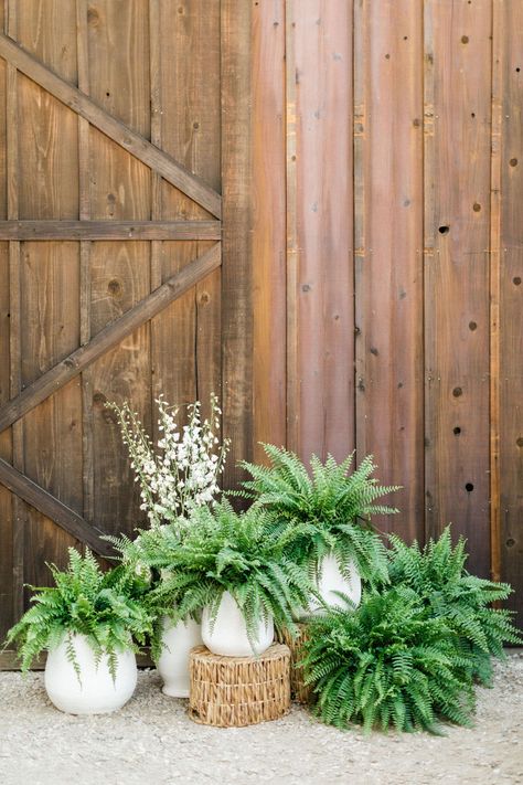 We love how they incorporated ferns and potted plants as wedding decor! Eco-friendly and budget-savvy way to create a fresh centerpiece. #centerpiecesdiy #pottedplants #plantlady Hanging Ferns Wedding, Fern Ceremony Decor, Modern Outdoor Wedding Decor, Forest Arrangements, Woods Themed Wedding, Fern Centerpiece Wedding, Fern Wedding Decor, Potted Plant Centerpieces, Fern Centerpiece