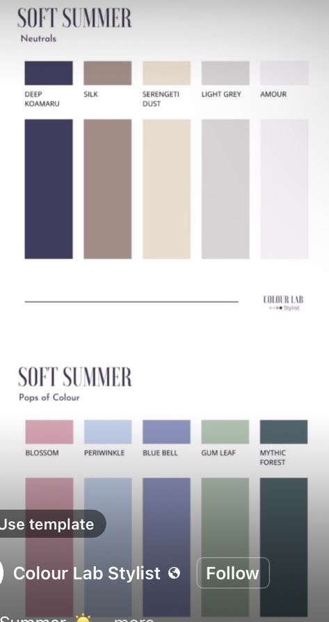 Elemental Colour Soft Summer, Calm Summer Outfits, Soft Summer Outfits, Calm Summer, Soft Summer Palette, Soft Summer Color Palette, Color Seasons, Soft Summer Colors, Summer Palette