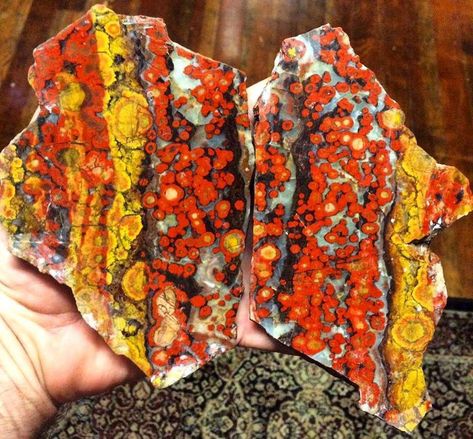 Some color to brighten up your day! poppy jasper from Morgan Hill, Santa Clara County, California  Photo: David Hunter Pictures Of Rocks, Poppy Jasper, Morgan Hill, Gray Rock, Rock Types, Fire Pit Designs, Rock Minerals, Cool Rocks, Cabochons Stones