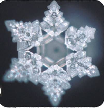 Water energy, autistic society - Uri Geller Masaru Emoto Water, Water Crystals, Masaru Emoto, Interactive Events, Running Day, Sacred Geometry Art, Water Energy, Ice Crystals, How Many Kids