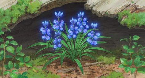 Imgur: The magic of the Internet Ghibli Studios, Art Studio Ghibli, Anime Flower, Ghibli Artwork, Whatsapp Wallpaper, Anime Gifs, Studio Ghibli Art, Flower Studio, Ghibli Art