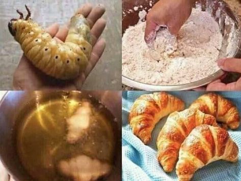 The french secret, le croissant Unholy Pictures, Croissant Recipe, Food Memes, Internet Funny, Really Funny Memes, Food Pictures, Dankest Memes, Funny Images, Really Funny