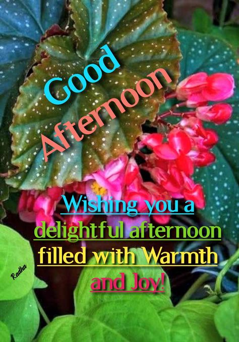 Good Afternoon Happy Wednesday, Good Afternoon Wednesday Images, Good Afternoon Images Beautiful, Good Afternoon Blessings, Good Afternoon Images, Good Afternoon Quotes, Afternoon Quotes, Good Morning God Quotes, Good Afternoon