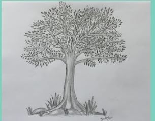 Simple Pencil Drawings for Kids - Easy Ideas with Pictures Check more at https://www.kidsartncraft.com/simple-pencil-drawings-for-kids/ Neem Tree Sketch, Easy Tree Sketch, Neem Tree Drawing, Simple Pencil Drawings, Images For Drawing, Tree Drawing For Kids, Tree Pencil Sketch, Pencil Drawing Pictures, Monument In India