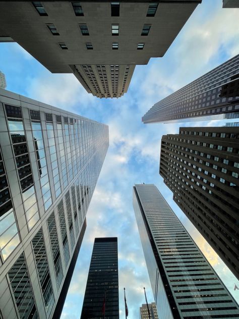 Financial District in downtown Toronto Toronto Downtown, Downtown Toronto, Financial District, Skyscraper, Multi Story Building, Toronto, Building