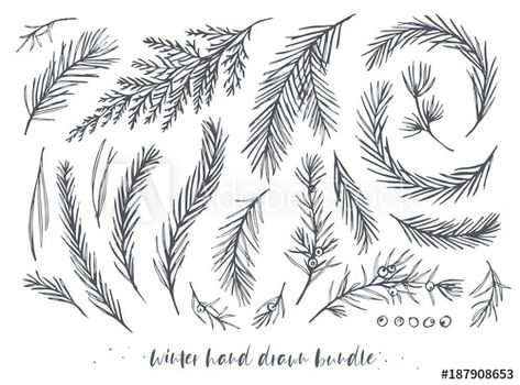 Winter Tree Drawing, Tree Branch Tattoo, Pine Tree Drawing, Willow Tree Tattoos, Pine Tree Art, Christmas Tree Drawing, Hand Drawn Elements, Branch Tattoo, Branch Vector