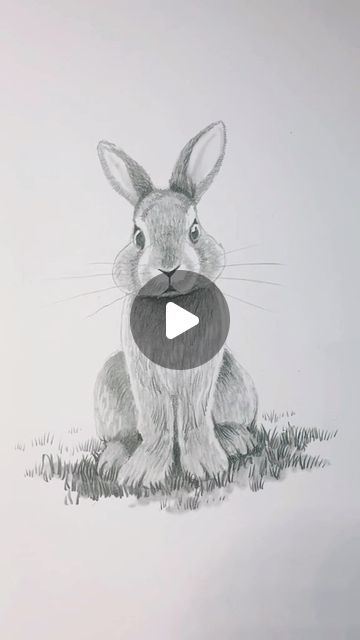 647K views · 44K likes | Shane Burke on Instagram: "How to draw a rabbit!  Start with the number 8 and draw a headless stickman!  #drawingtutorial #howtodraw #rabbits #drawingtips #rabbitart  #bunnyart #learntodraw #followalong #simpleshading #trusttheprocess #art #artist" How To Draw A Rabbit, Simple Bunny Drawing, How To Draw Rabbit, Draw Rabbit, Draw A Rabbit, Bunny Sketches, Drawing Rocks, Rabbit Drawing, Bunny Images