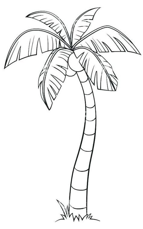 Ink Video, Palm Tree Sketch, Tree Drawing Simple, Palm Tree Drawing, Beach Drawing, Tree Palm, Tree Drawings Pencil, Tree Sketches, Tree Coloring Page